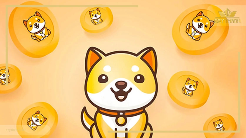 ارز Baby-Doge-Coin