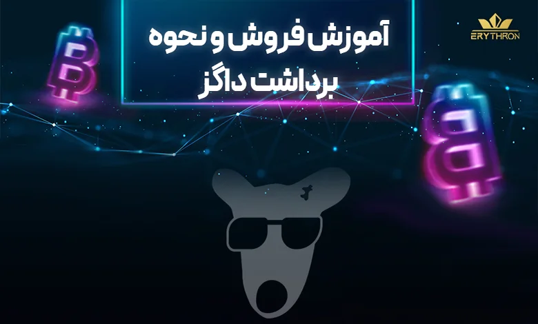 آموزش فروش و نحوه برداشت داگز