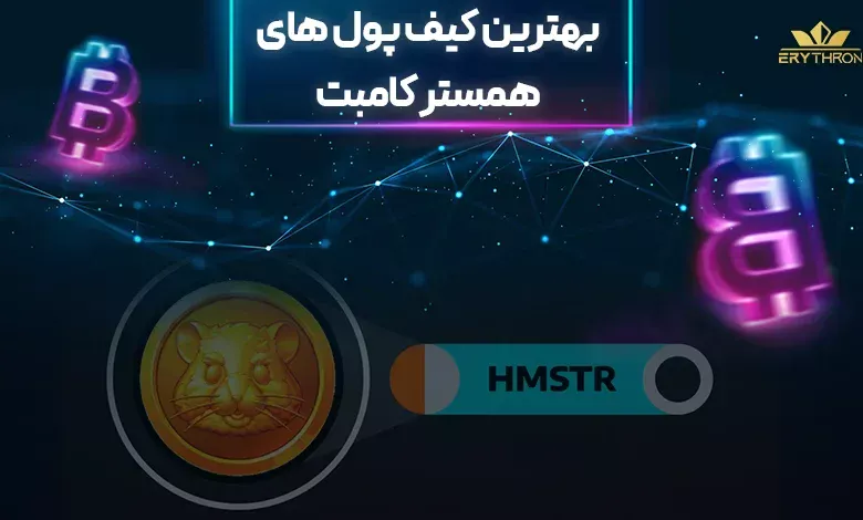 بهترین کیف پول همستر