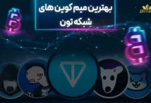 میم کوین های تون