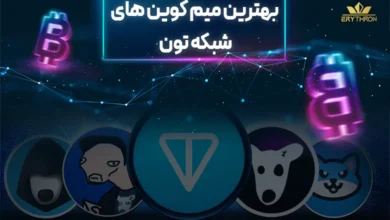 میم کوین های تون